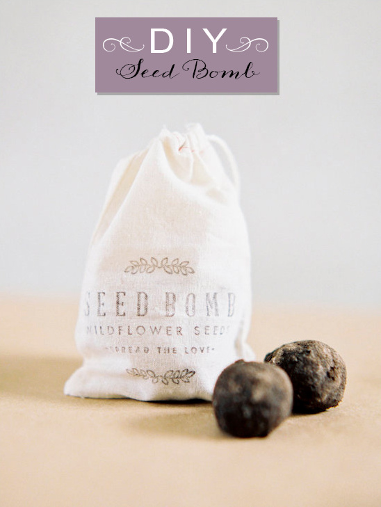 DIY Seed Bomb Wedding Favors: Eco-Friendly & Easy to Make