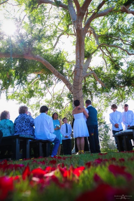 Intimate San Diego Backyard Wedding: Stacey and Dave's Special Day