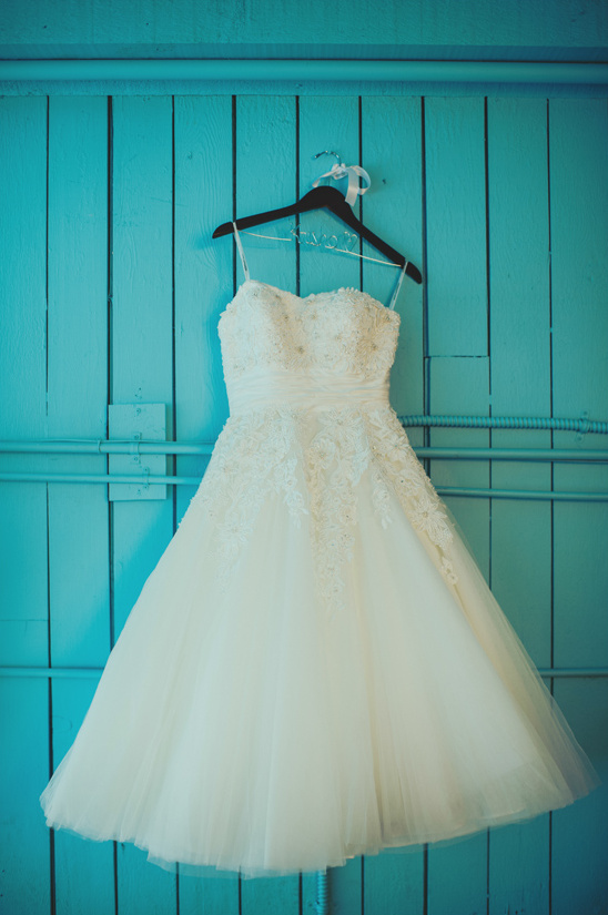 Retro Garden Party Wedding: A Fabulous 1950s Celebration in Seattle