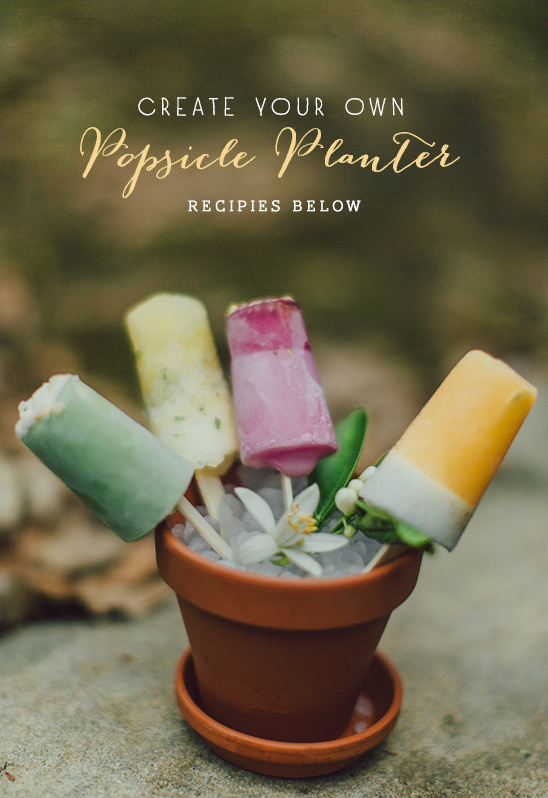 Cool Down with these Delicious Popsicle Recipes & DIY Planter!