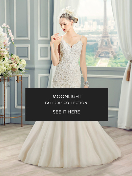 Moonlight Fall 2015 Wedding Dress Collection: Elegant Gowns