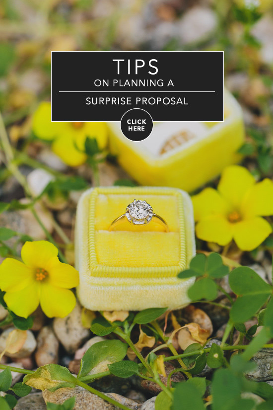 Surprise Proposal Tips: Plan the Perfect Covert Wedding Proposal