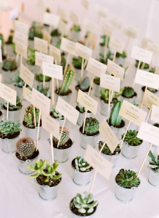 Charming Succulent Wedding Favors by Tracey Reynolds Floral Design