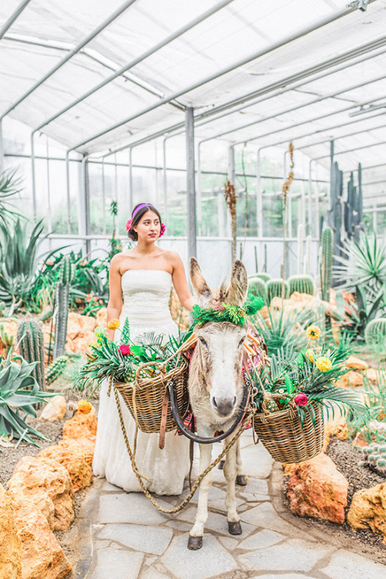 Fiesta Wedding Inspiration: A Colorful Celebration in the Netherlands!