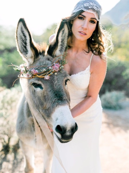 Desert Dream: Southwestern Wedding Inspiration with Cactus & Burro