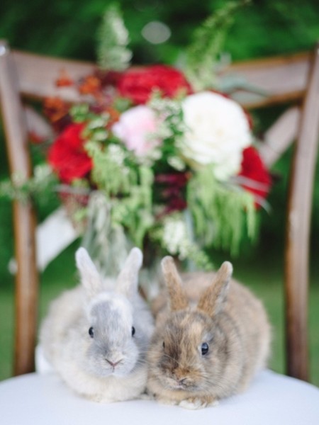 Red & Gold Late Summer Wedding Ideas for a Garden Celebration