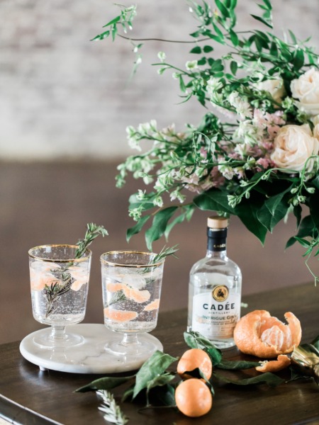 Cozy Up with 3 Easy Winter Cocktail Recipes: Gin & Tonic & More!