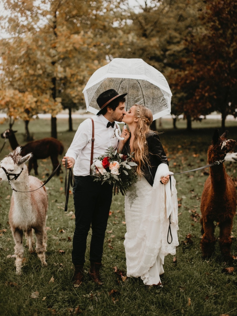Ontario Alpaca Farm Wedding: Cozy Fall Boho Style Session