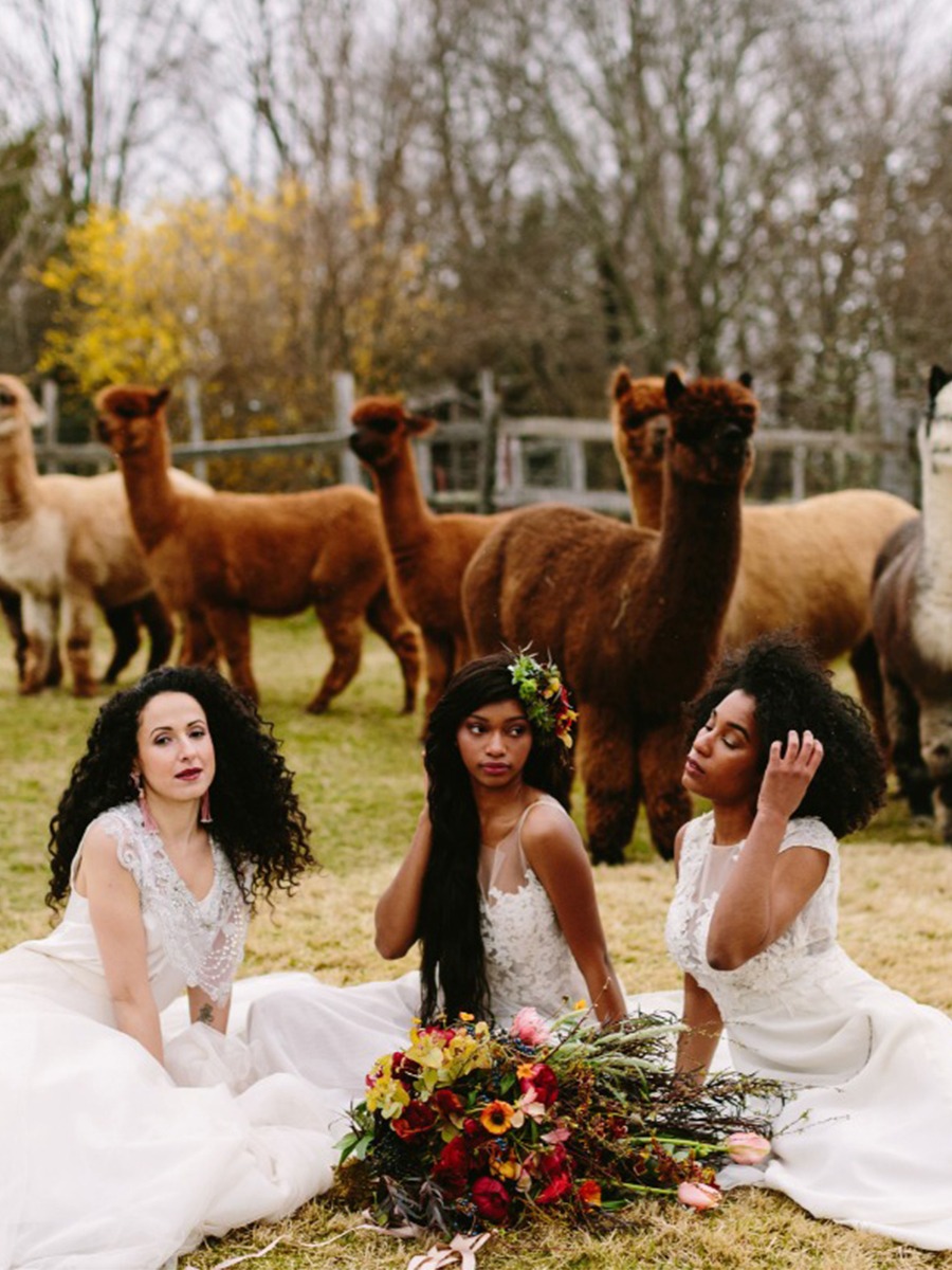 Moody Fall Wedding Inspiration: Alpacas, Glamour, and Gorgeous Brides!