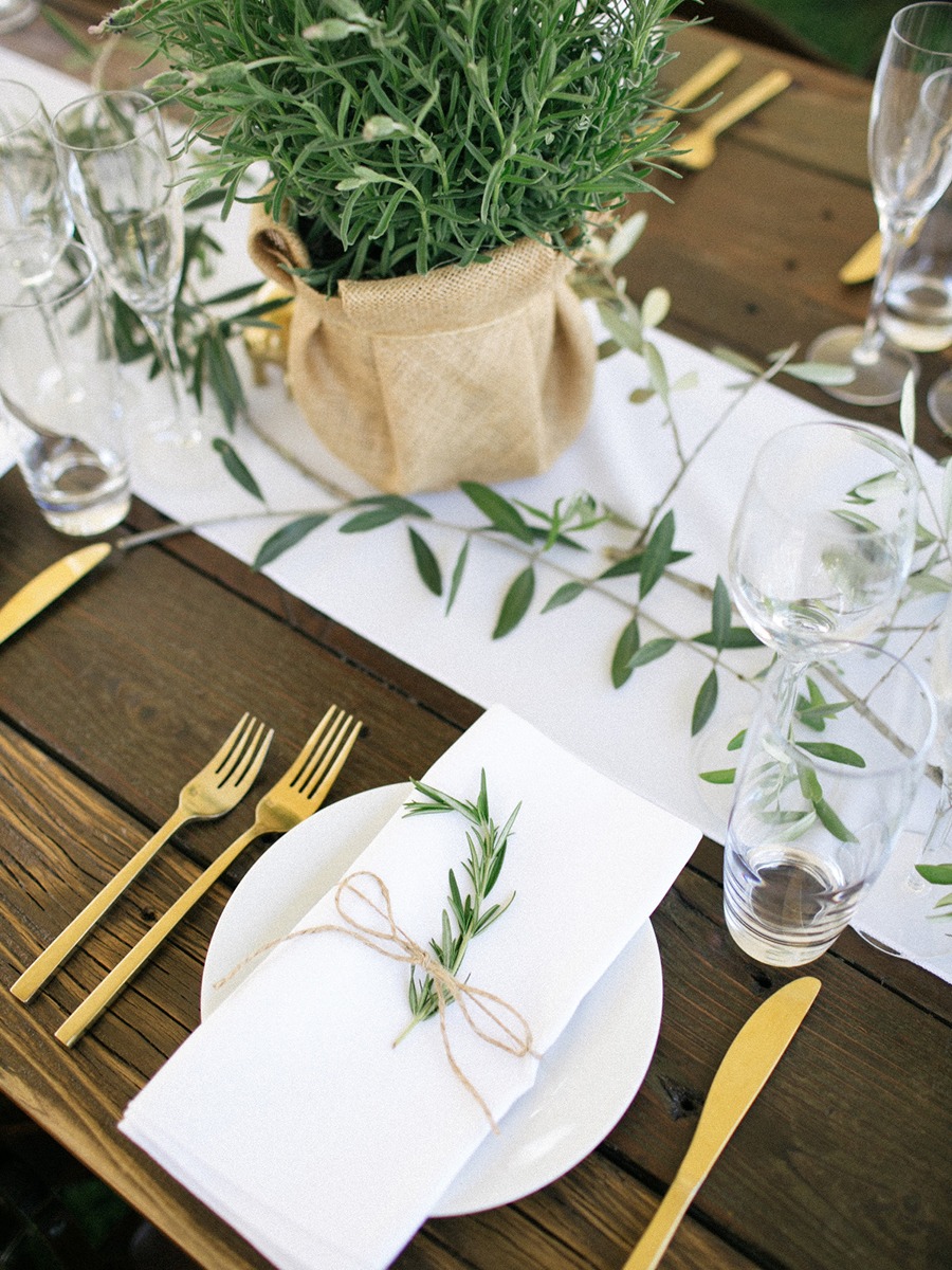 Olive Orchard Wedding: Veterinarians Celebrate in Style