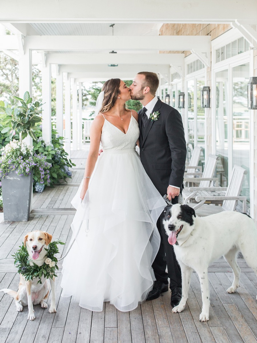 Couple's Wedding Features Adoptable Puppies & Gets Them All Adopted!