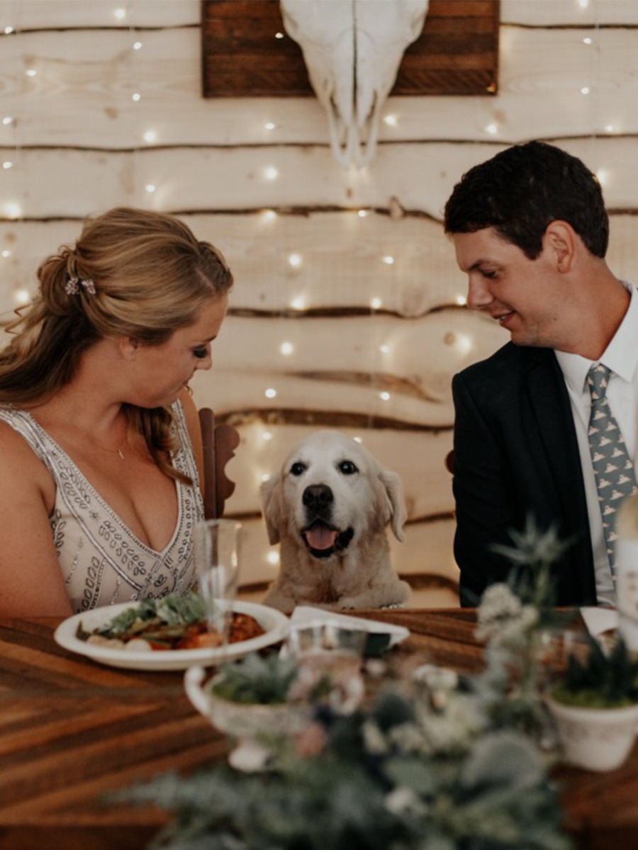 Charming Puppy-Themed Wedding in St. Mary's, Ontario: Mike & Jill