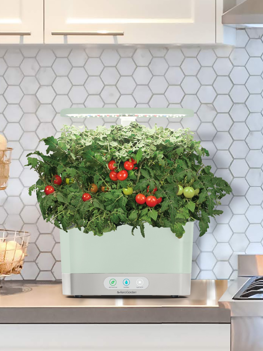 Grow Fresh Herbs and Veggies Indoors with AeroGarden