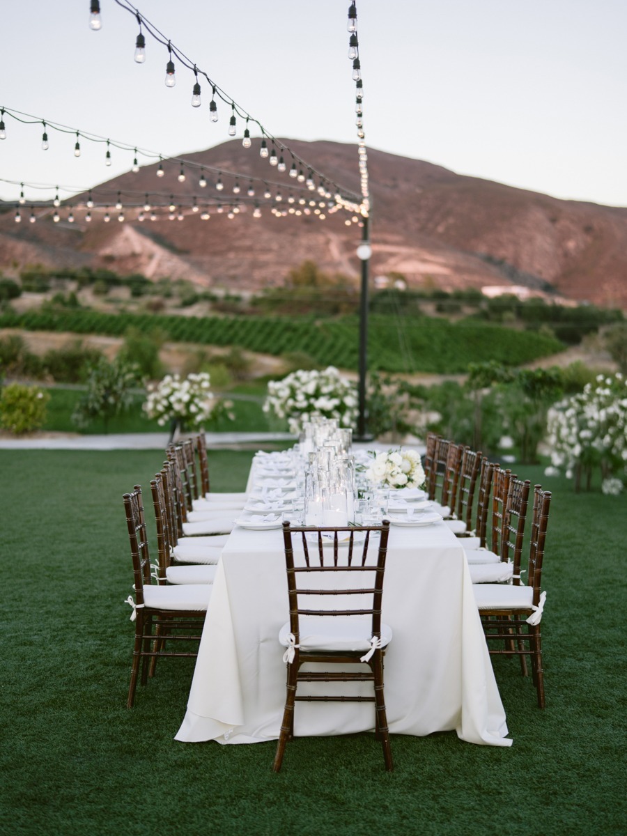 White roses took center stage at this Italy-inspired vineyard wedding